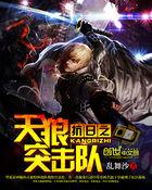 抗日之天狼特战队免费阅读
