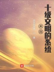 10级文明等级